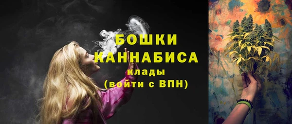 хмурый Заводоуковск