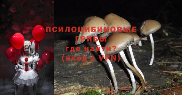 ГАЛЛЮЦИНОГЕННЫЕ ГРИБЫ Заволжск