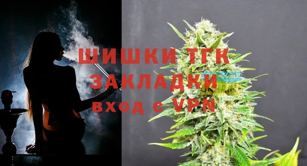 хмурый Заводоуковск
