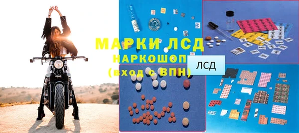 мдпв Ельня